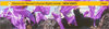 Headimage_05