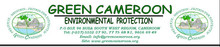 Green Cameroon Header 2014.jpg