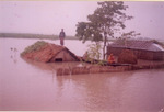 In the flood time of north bengal in Bangladesh