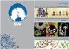 Ecal_card