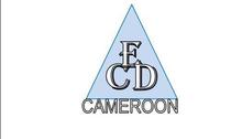 CED CAMEROON.jpg