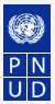 undp.PNG