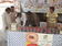 Dengue Free Camp 