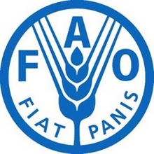 fao-logo.jpg