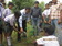 NATIONAL ENVIRONMENT AWARENESS CAMPAIGN 2012-13 PLANTATION