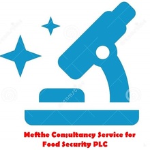 Company_logo.jpg