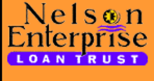 nelson_logo.png