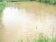 Fishing Farm
