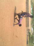 school function