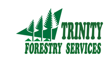 trinity2.png