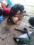 Tribal Women in Trained in Craft works