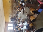Nyankpala Primary School, Tolon District, Ghana. Children in classrooms whout chairs and tables