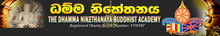 DNBA Logo.jpg