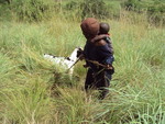 one of the beneficiary grazing her goat that was given to her by COBIC.R  to economically empower the child and mother