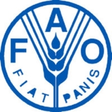 Logo_FAO_160309.jpg