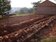 Classrooms needed