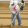 Syria - Planting trees