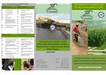 FIAWE brochure