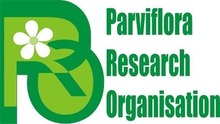 Parviflora Logo.jpg