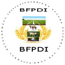 BFPDI LOGO.jpg