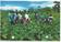 project volunteers at  pumpkins demonstration farm