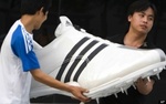 http://www.huffingtonpost.com/2009/11/17/adidas-to-score-social-re_n_361036.html