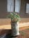 Vegetable growing sack
