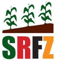 srfzzz.jpg