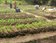 environmental conservation campaign