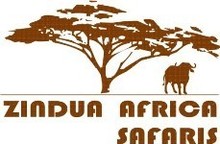 zindua logo acacia2.jpg