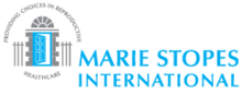 msi-logo.png