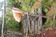 latrine construction orphans