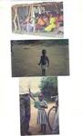 outlook of some orphaned children