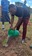 Tree planting at Musa Primary school 