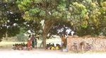 Brick field children