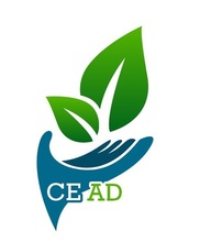 CEADLogo_color.jpg