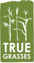 truegrasses logo - TG.png