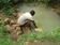 http://www.asafeworldforwomen.org/partners-in-africa/partners-in-uganda/eaco/eaco-updates/1756-uganda-reliable-water-source.html