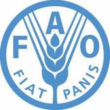 FAO.jpg