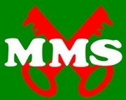 MMS_Logo.jpg