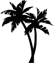 palm_tree.png