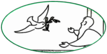 t.png