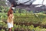 Microfinance