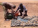 Briqueets Making 