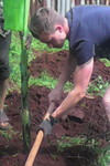 Promoting food production