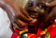 Burundi National Deworming Program