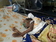 our sick child in hospital she has a heart and lungs problem which operation