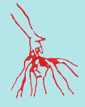 LOGO.jpg