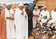 Donation of  motor bike  for  youth empowerment