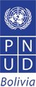 logo_pnud.png
